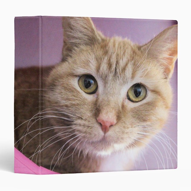 Cat 3 Ring Binder (Front/Spine)