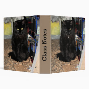 Cat 3 Ring Binder