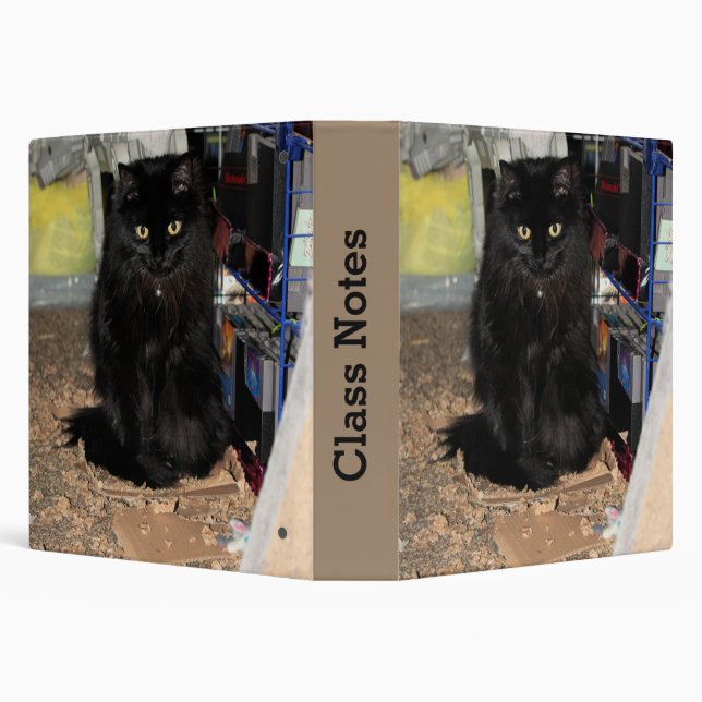 Cat 3 Ring Binder (Background)