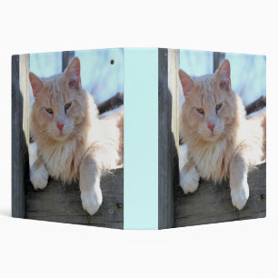 Cat 3 Ring Binder