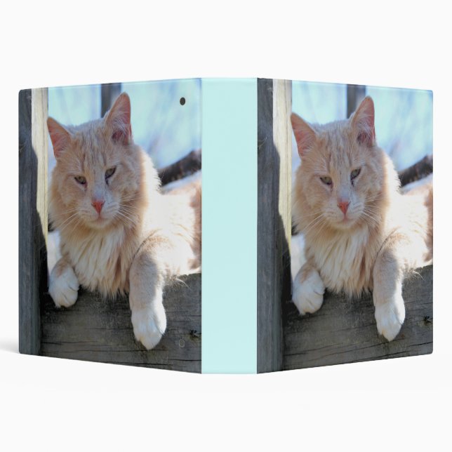 Cat 3 Ring Binder (Background)