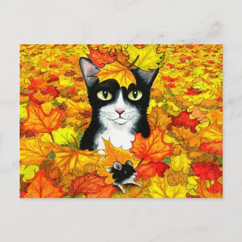 cat 447 postcard