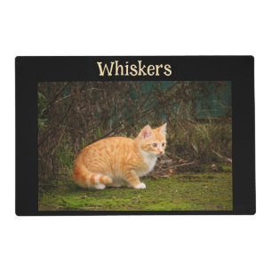 Cat 4 Photo Double Sided Feeding Placemat