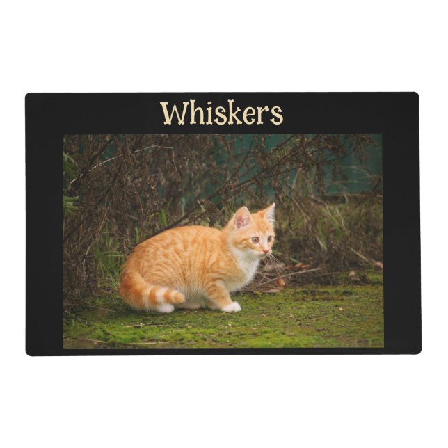 Cat 4 Photo Double Sided Feeding Placemat (Front)