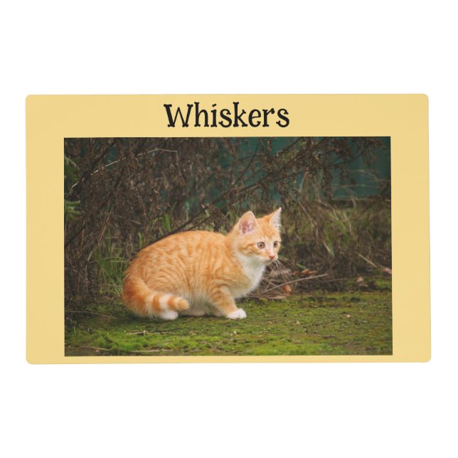 Cat 4 Photo Double Sided Feeding Placemat (Front)