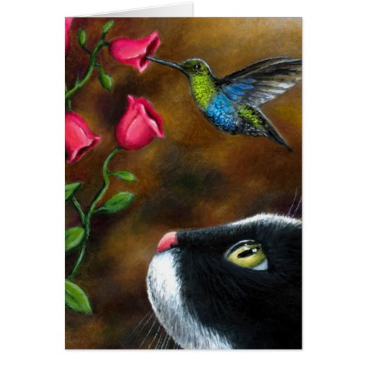 Cat 571 Tuxedo with Hummingbird Cards (Front)