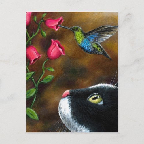 Cat 571 Tuxedo with Hummingbird Postcard