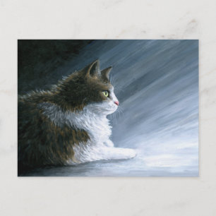 Cat 594 postcard