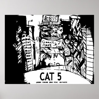 CAT 5 POSTER