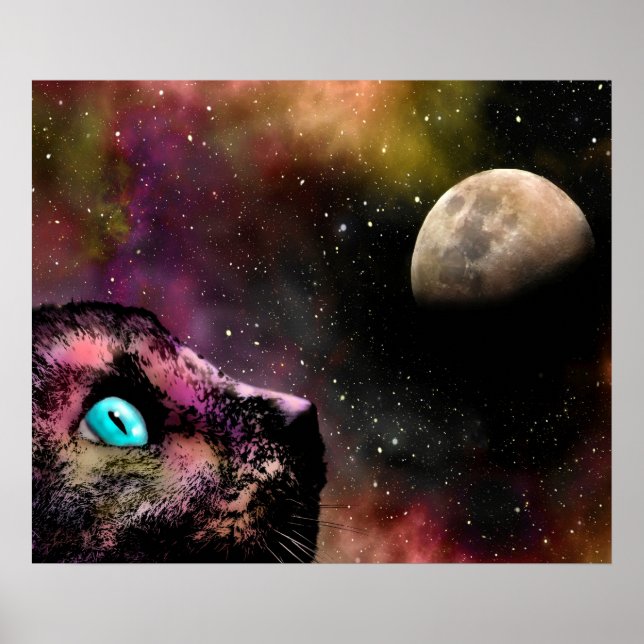Cat 619 poster (Front)