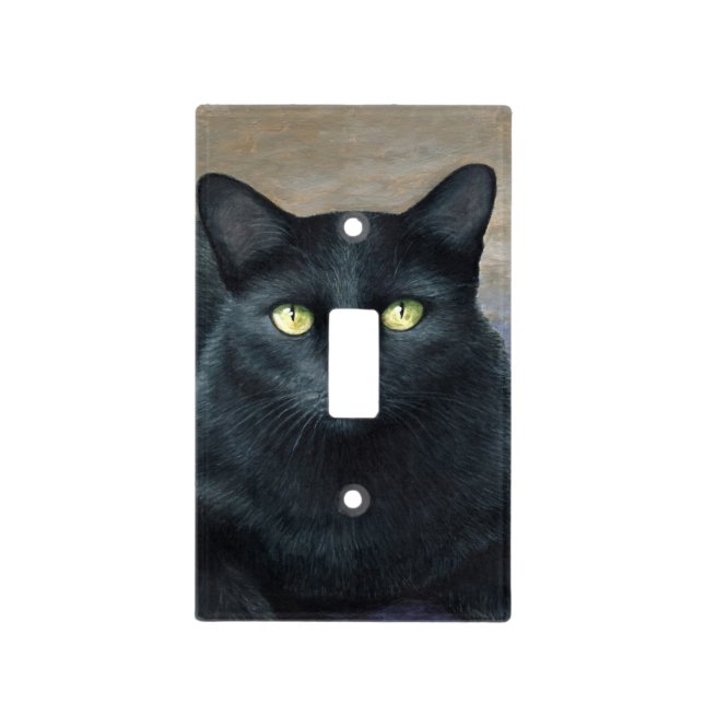 Cat 621 light switch cover (Front)