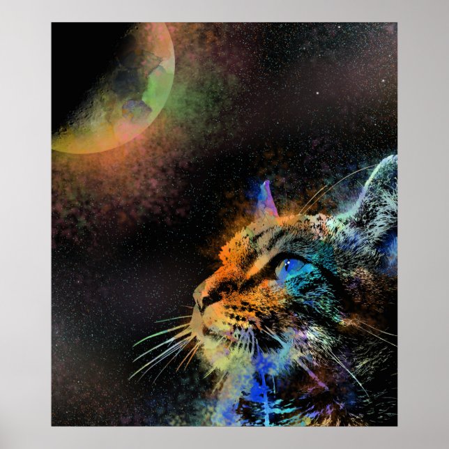 Cat 624 poster (Front)