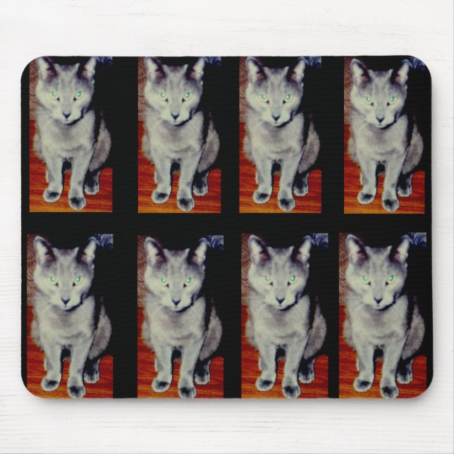 Cat #6, Mousepad (Front)