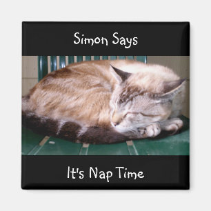 Cat 7, It's Nap Time, Simon Says, Magnet