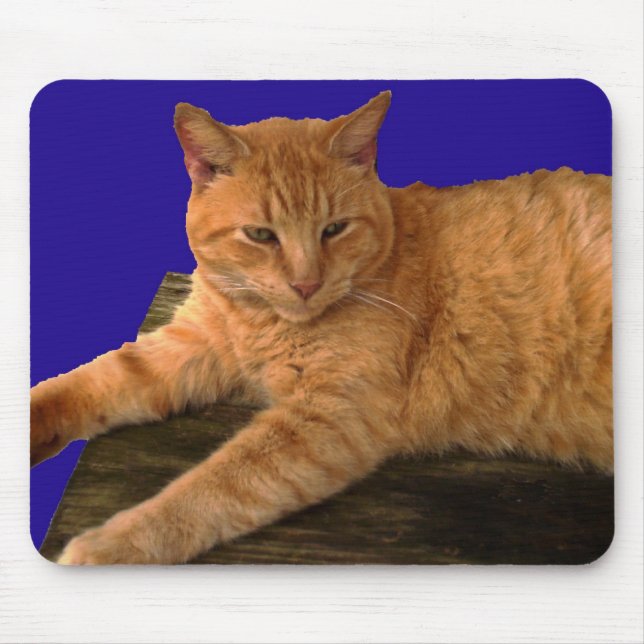 Cat 8, Mouse Pad (Front)