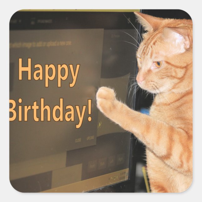 cat·a·stroph·ic birthdays not allowed square sticker (Front)