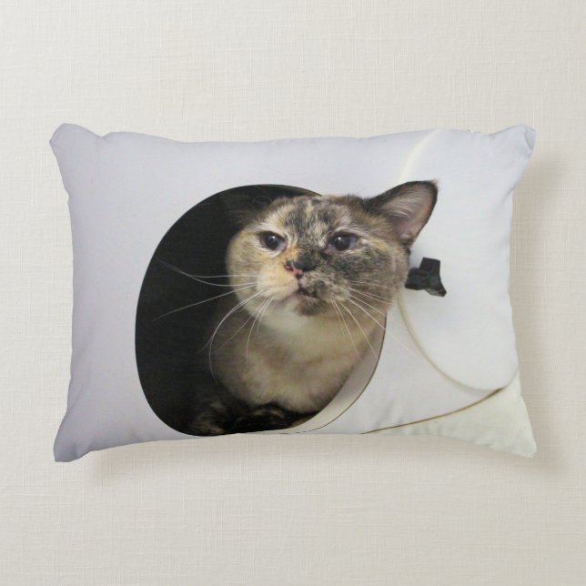 Cat  accent pillow (Front)