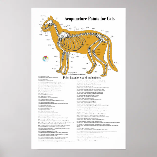 Cat Acupressure Acupuncture Points Chart Zazzle