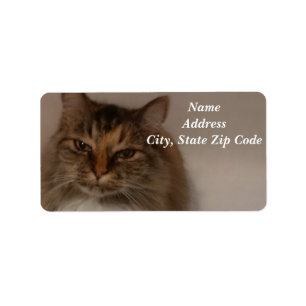 Cat Address Labels