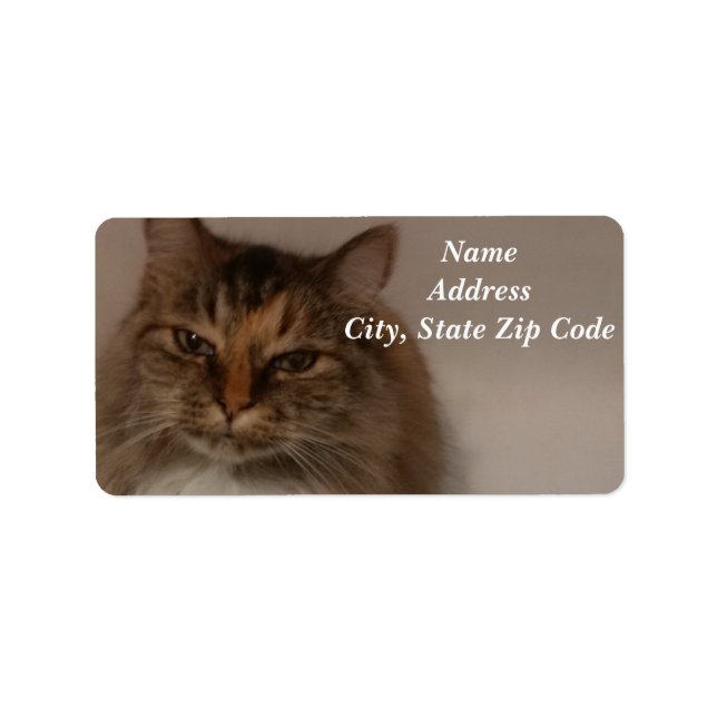 Cat Address Labels (Front)