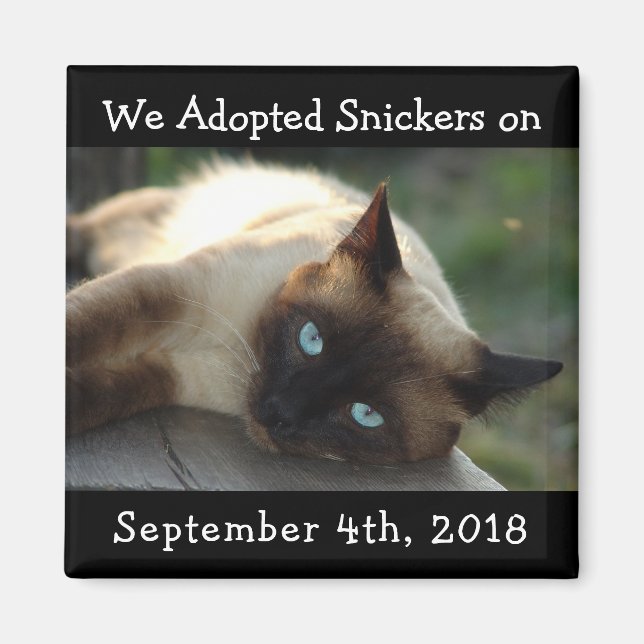 Cat Adoption Personalized Reminder Magnet (Front)