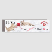 Cat Adoption Saves Car Magnet