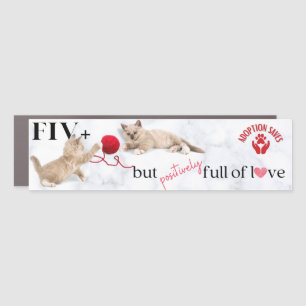 Cat Adoption Saves Car Magnet