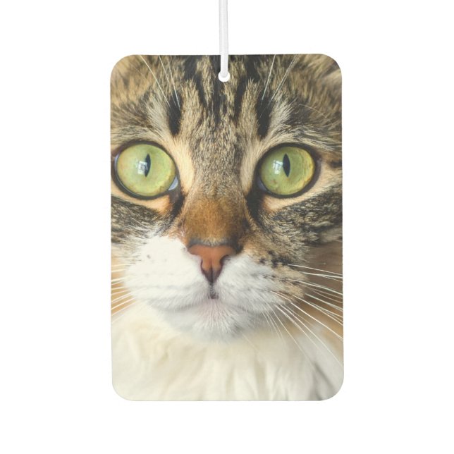 Cat Air Freshener (Front)