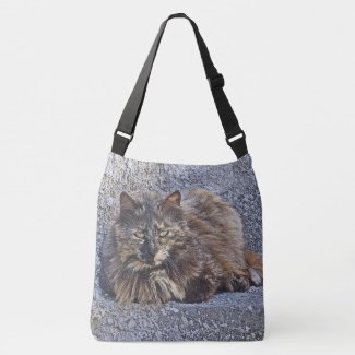 CAT ALL FLUFFED UP AND LOOKING GOOD!