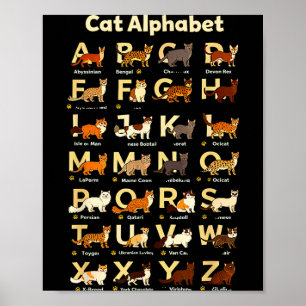 Cat alphabet funny kitten lover teacher vibe poster