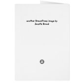 Cat among the pigeons (Back)