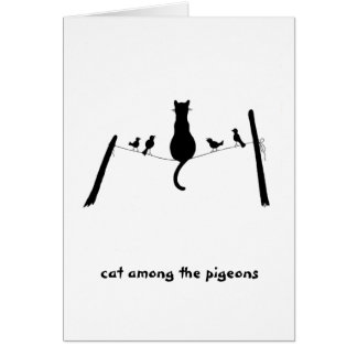 Cat among the pigeons cards