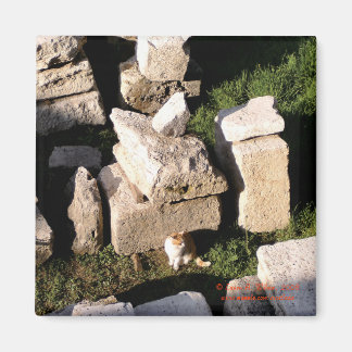 Cat Among the Ruins Magnet