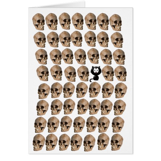 Cat Amongst The Skulls Cards (Front)