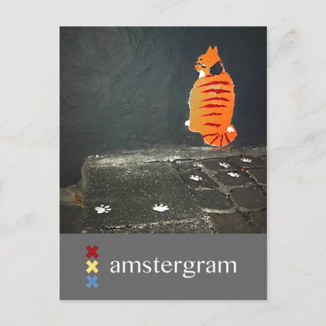 Cat Amstergram Postcard (Front)