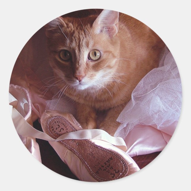 Cat and Ballet Slippers Classic Round Sticker (Front)