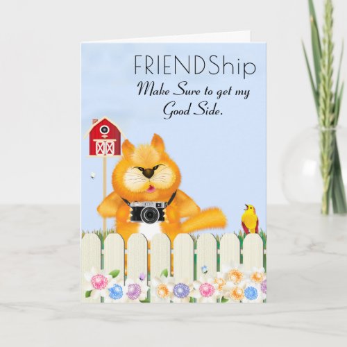 Cat and Bird  Friendship Card