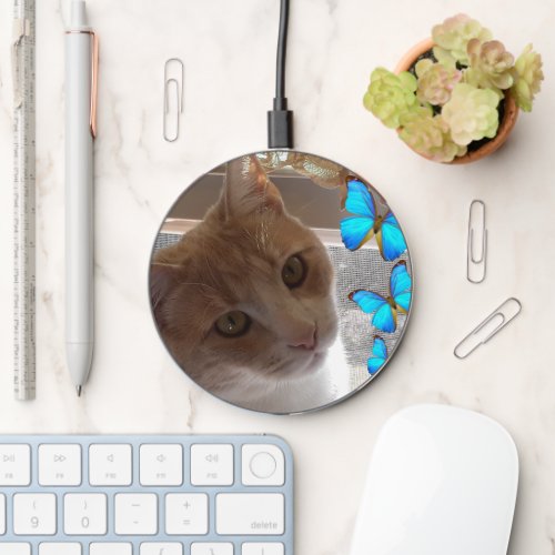Cat and Blue Butterfly  Wireless Charger