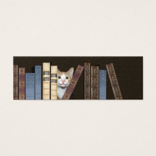 Cat and books bookmark (Front)