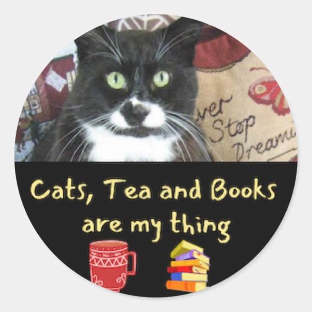 Cat and Books  Classic Round Sticker (Front)