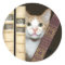 Cat and books