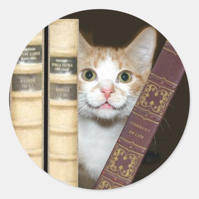 Cat and books classic round sticker (Front)