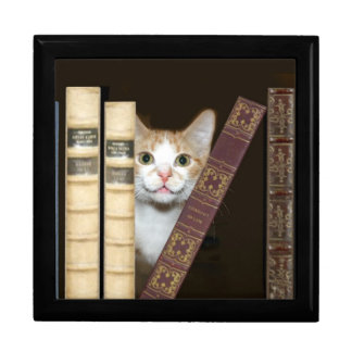 Cat and books jewelry box