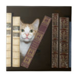 Cat And Books Tile at Zazzle