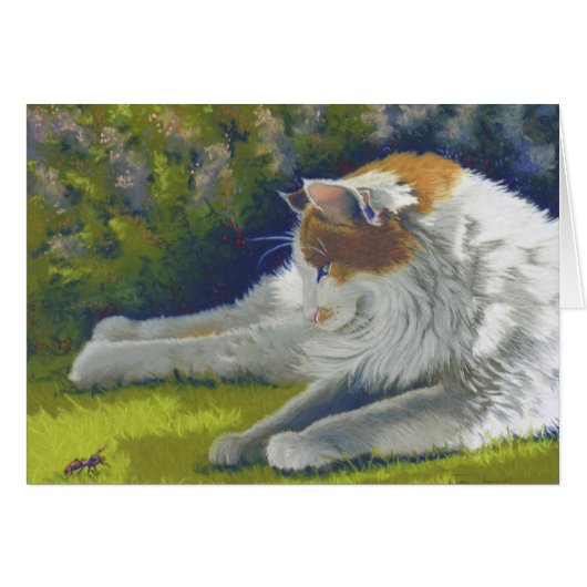 cat and bug cards (Front Horizontal)