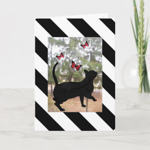 Cat and butterfly black,white striped birthday card