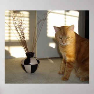 cat and checkered vase poster