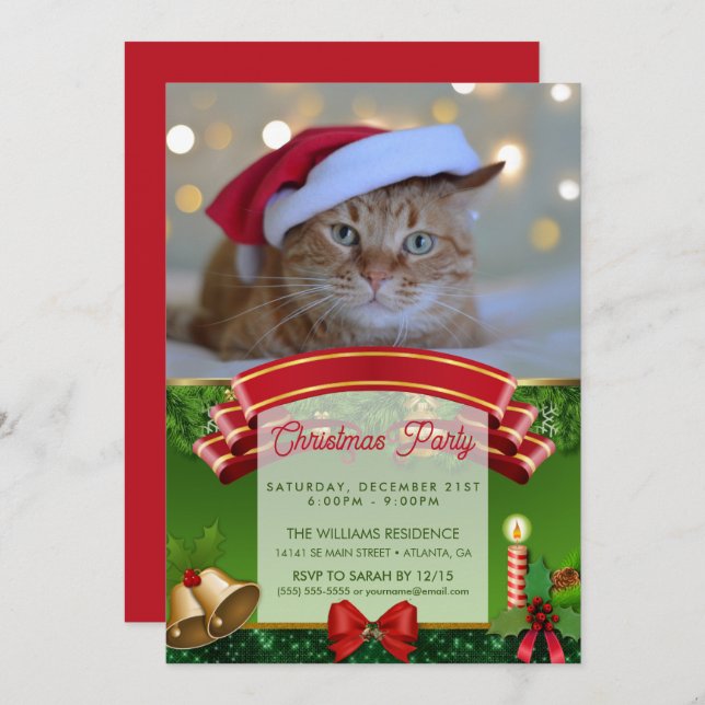 Cat and Christmas lights                 Invitation (Front/Back)