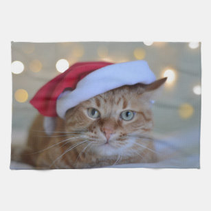 https://rlv.zcache.com/cat_and_christmas_lights_kitchen_towel-rf41f1cb9b5074794bf10e065176d449c_2cf11_8byvr_307.jpg