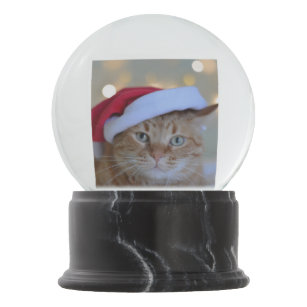 Cat and Christmas lights Snow Globe